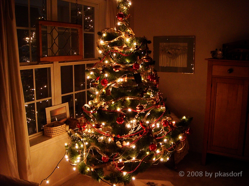035 A2 Snowfall & Trees [2008 Dec 20].JPG - Our Christmas Trees for 2008.
